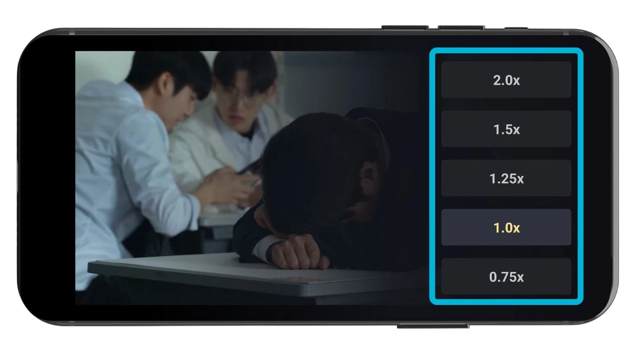Playback Controls