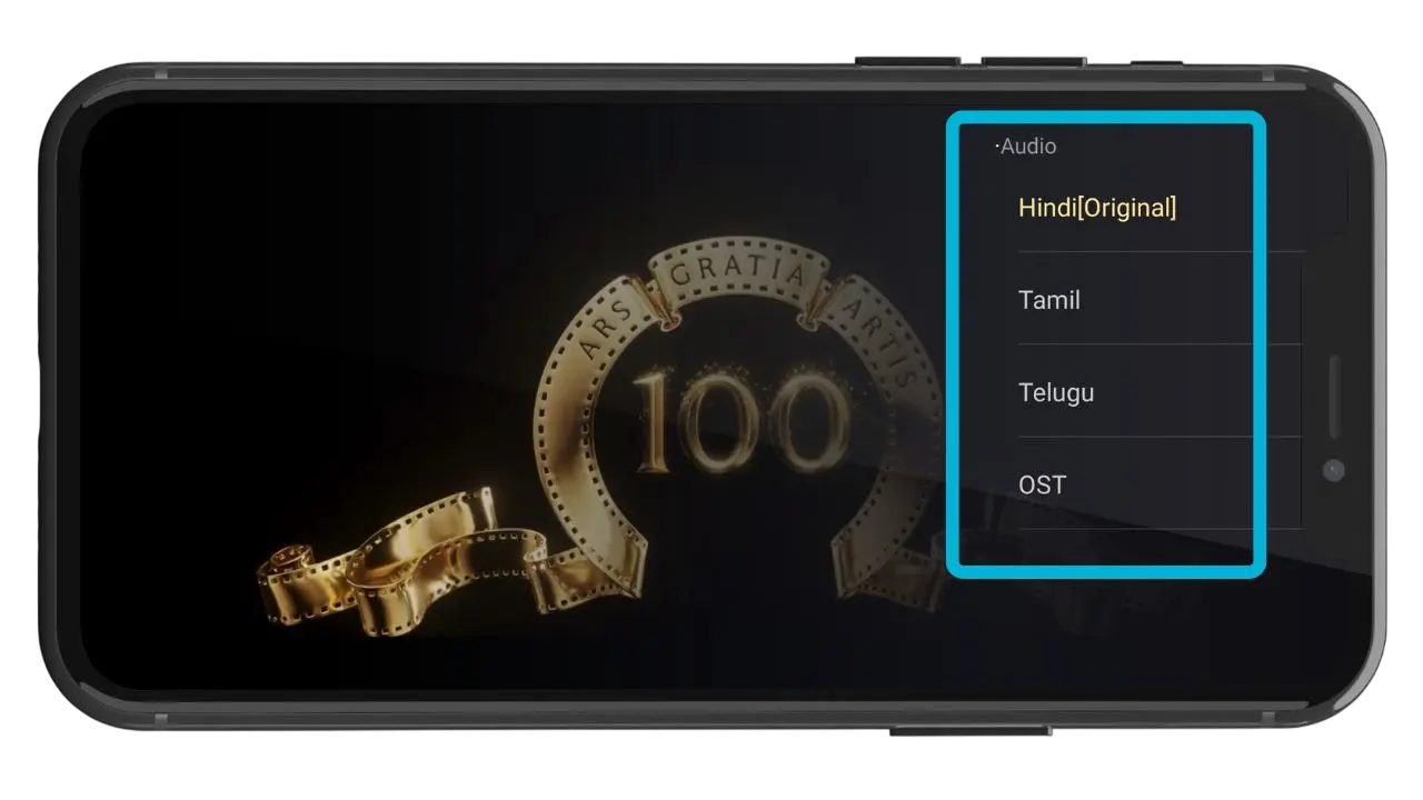 Subtitles in Multiple Languages
